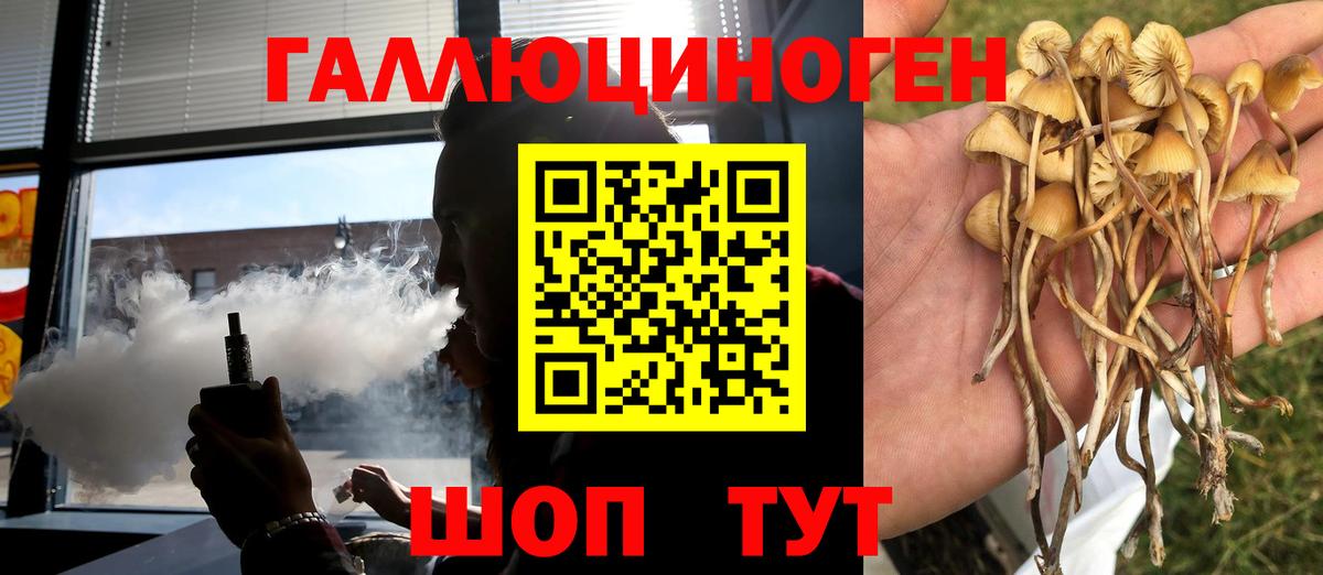 Галлюциногенные грибы Magic Shrooms Шебекино